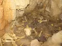 Avenc dels Cinc Sentits - Miniatura 6, Roquetes