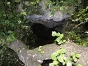 Cova Patxarro - Miniatura 5, Avellanes i Santa Linya, Les