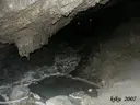 Cova del Brugal - Miniatura 7, Sant Esteve de la Sarga
