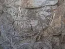 Cova del Lleó - Miniatura 4, Pallejà