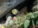 Cova del Pitu-pitu - Thumbnail 2, Queralbs