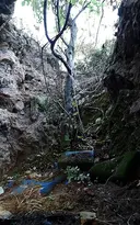 Avencó del Pont del Lledoner - Miniatura 7, Cervelló