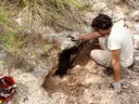 Avenc de la Nubet - Miniatura 1, Olivella