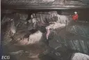 Cova del Riu - Miniatura 15, Cardona