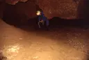 Cova del Toll - Miniatura 13, Moià