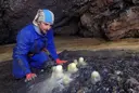 Cova Trobada - Thumbnail 2, Sénia, La