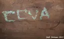 Cova de les Angúnies - Miniatura 3, Sant Aniol de Finestres