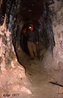Cova dels Muricecs - Miniatura 2, Llimiana