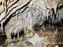 Bòfia de l'Obaga d'espades - Miniatura 15, Nou de Berguedà, La