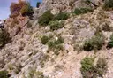 Cova dels Sants - Thumbnail 1, Àger
