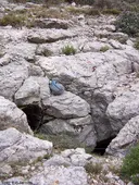 Avenc de la Mosca - Miniatura 1, Horta de Sant Joan