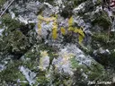 Avenc de l'Arbre - Miniatura 2, Mont-ral