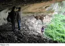 Coves del Pascol - Thumbnail 2, Castellví de la Marca