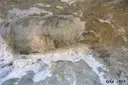 Cova de l'Avedoga - Thumbnail 3, Pont de Suert, El