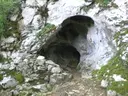 Cova d'en Massot - Miniatura 2, Albanyà