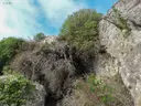 Cova del Portell - Миниатюра 1, Alcanar