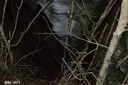 Forat de la Ratafia - Miniatur 3, Susqueda