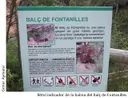 Balma Balç de les Fontanilles - Thumbnail 1, Santa Maria de Miralles