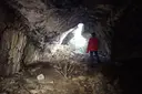 Cova del Gallo - Miniatura 2, Alfara de Carles