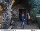 Cova del Toll - Miniatura 14, Moià