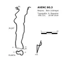 Avenc So.3 - Miniatura 3, Begues