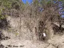Forat del Puig - Thumbnail 1, Pobla de Lillet, La