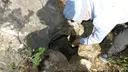 Avenc del Collet - Thumbnail 1, Castelldefels