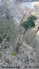 Bauma del Casot - Miniatura 2, Ribes de Freser