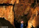 Avenc Font I Sagué - Miniatura 12, Olesa de Bonesvalls