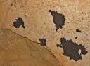 Cova Colomera - Miniatura 10, Sant Esteve de la Sarga