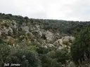 Graller Nº2 de la Pardina - Thumbnail 1, Àger
