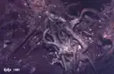 Avenc Jordi Verdiell - Miniatura 6, Olesa de Bonesvalls