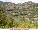 Balma a de les Cabres - Miniatura 2, Guixers
