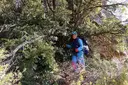 Cova del Castellot - Thumbnail 1, Febró, La