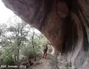Cova dels Coloms de Baix - Miniatura 7, Febró, La