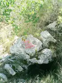 Avenc Josep Pasanau - Miniatura 2, Vallirana
