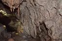 Cova Gran de les Fogueroses - Miniatura 12, Sant Llorenç Savall