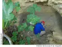 Cova a de Vespella - Miniatura 2, Vespella de Gaià