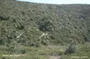 Avenc del Llorer - Miniatura 1, Begues