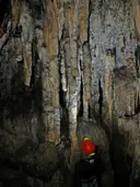 Cova dels Muricecs - Miniatura 13, Llimiana