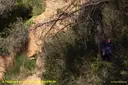 Cova de Can Trullars - Thumbnail 1, Viladecavalls