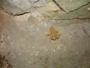 Forat del Caco - Miniatura 11, Avellanes i Santa Linya, Les