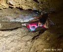 Bòfia de l'Obaga d'espades - Miniatura 14, Nou de Berguedà, La
