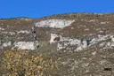 Balma de la Cambra dels Bocs - Miniatura 1, Gisclareny
