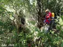 Avenc del Barranc dels Esclots - Miniatura 1, Mont-ral