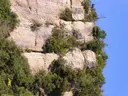 Cova dels Talps - Miniatura 1, Mura