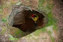 Forat de Ca Deu - Miniatura 2, Sant Martí de Llémena