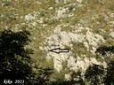 Cova G d'Olopte - Miniatura 1, Isòvol