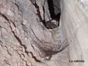Cova de la Cabrota - Miniatura 3, Lladurs