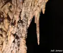 Avenc Sílvia - صورة مصغرة 8, Mont-ral